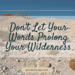 Don't Let Your Words Prolong Your Wilderness