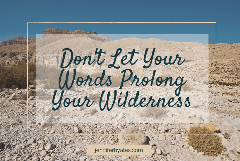 Don’t Let Your Words Prolong Your Wilderness