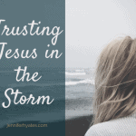 Trusting Jesus in the Storm