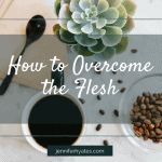 How to Overcome the Flesh