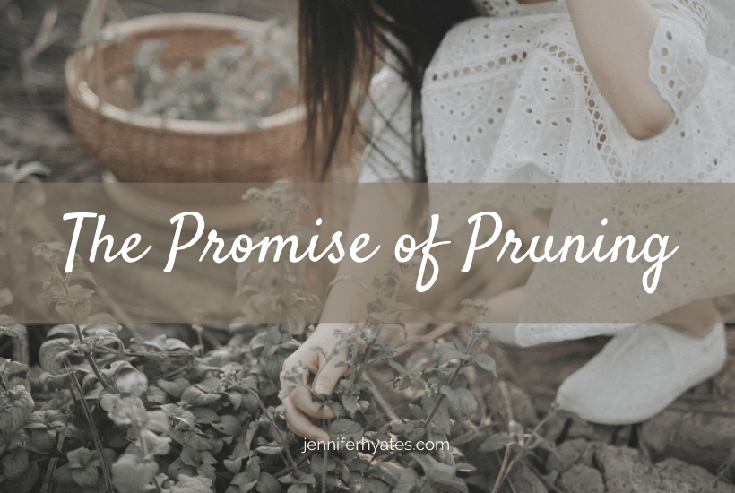 The Promise of Pruning